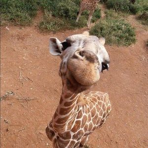 Meet your Posher, Natalie